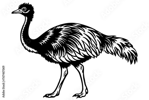 emu silhouette vector illustration