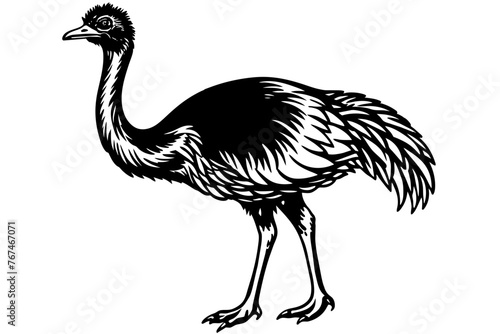 emu silhouette vector illustration