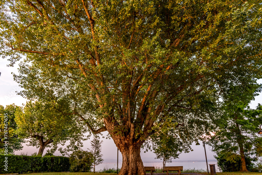 Sirmione, lago di garda, Brescia, Lombardia, italia,