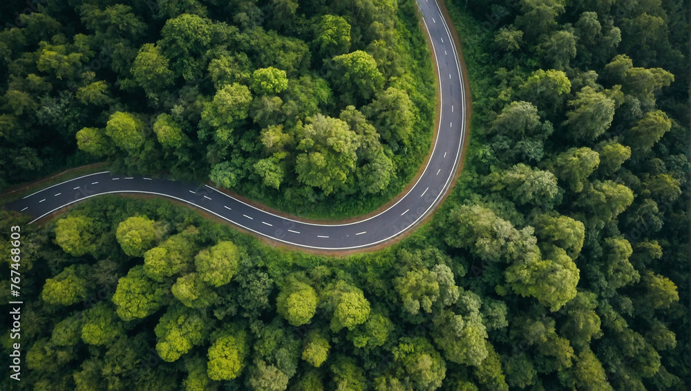 Aerial of curved road through green forest Aerial of curved road through green forest