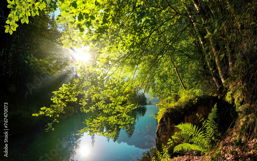 The sun shines bright through lush green tree branches over the gorgeous turquoise water of a lake