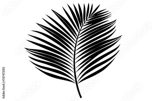 palm leaf in minimalist style line silhouette vector art illustration