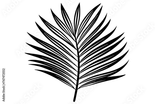 palm leaf in minimalist style line silhouette vector art illustration © Merry