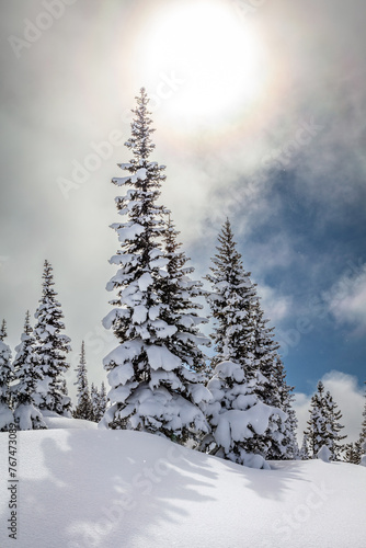 Snowshoeing in deep snow with snow covered trees © peteleclerc