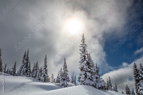 Serene and snowy winter scene © peteleclerc