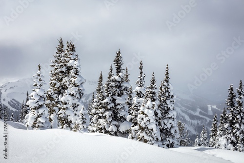 A beautiful and serene snow-covered landscape showcases a stand of evergreen trees heavily laden with snow, under a cloudy sky.  © peteleclerc