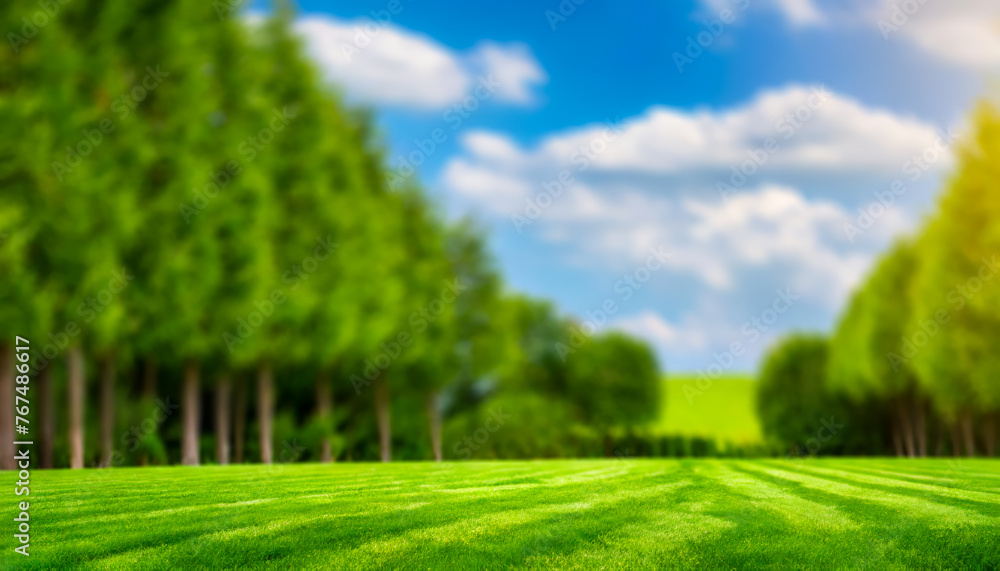 Blurred background image of trimmed lawn surrounded by trees against a blue sky on a sunny day. Blurred background image of trimmed lawn surrounded by trees against a blue sky on a sunny day.
