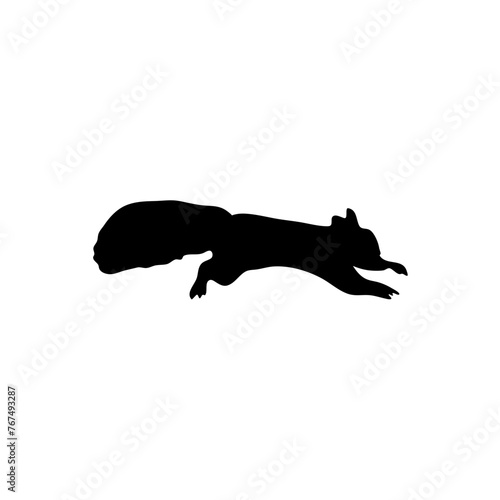 Squirrel Silhouette Illustration