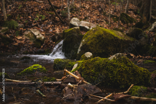 Moss-covered rocks and a stream of flowing water in brown woods during winter