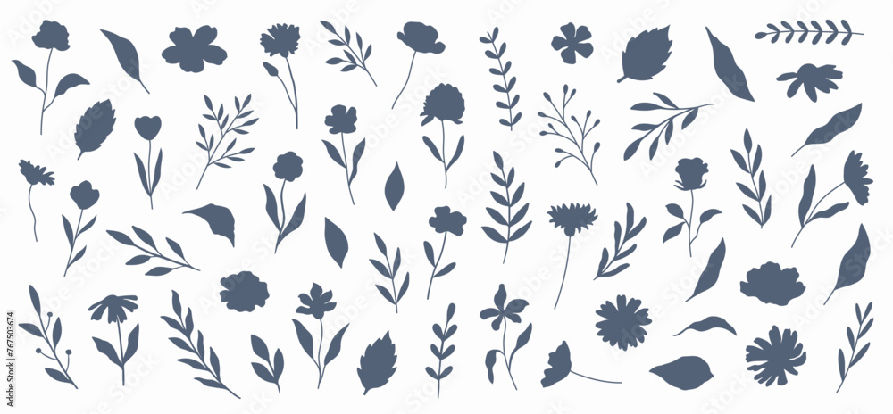 Botanical set of flowers, leaves, branches. Hand-drawn silhouettes of plants Botanical set of flowers, leaves, branches. Hand-drawn silhouettes of plants
