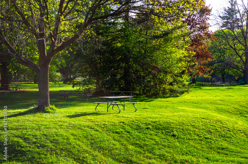 Fototapeta premium bench in the park