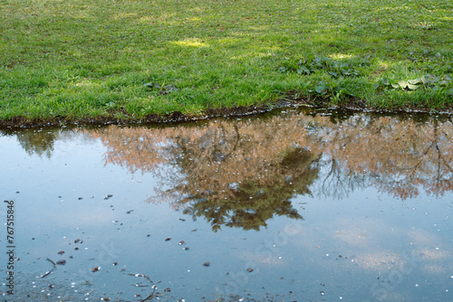 Cherry blossoms reflect on the pond at Kakunodate street in Akita, Japan