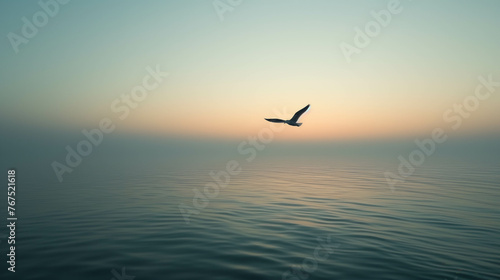 Seagull soars with orange light of sunrise the sky and water in a coastal landscape.