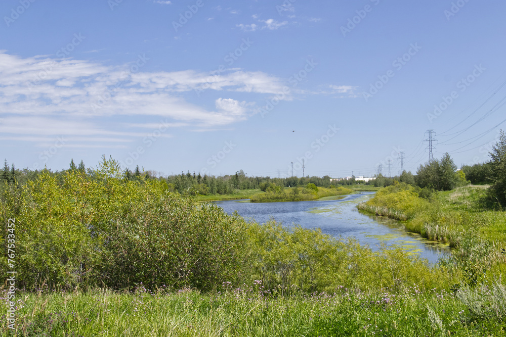 Sunny Summer Day at Pylypow Wetlands