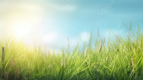 Beautiful meadow field with fresh grass and yellow dandelion flowers in nature against a blurry blue sky with clouds. Summer spring perfect natural landscape. © BACKART