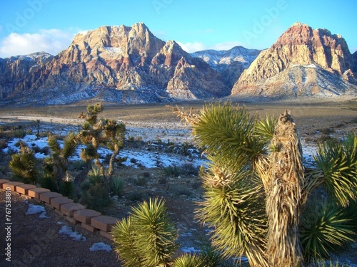 Located just outside of Las Vegas, Red Rock Canyon National Conservation Area offers more than 195,000 acres and world-class rock climbing to those who are looking for a different kind of adventure.  photo
