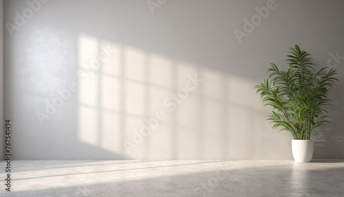 White Wall Studio Background with Shadow Leaves and Light Cement Floor