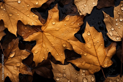 Background of beautiful autumn leaves, top view