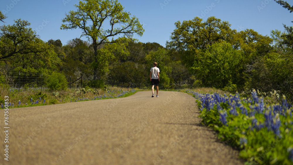 Obraz premium Man walking down a road lined with Texas Bluebonnets