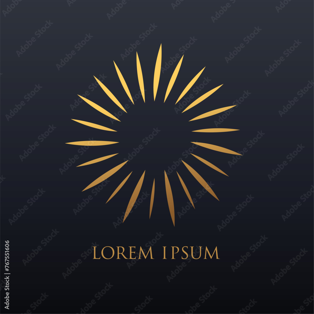 Fototapeta premium abstract logo concept design