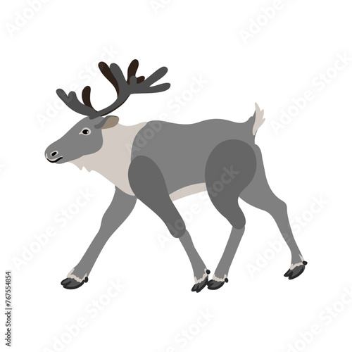 vector drawing reindeer  caribou isolated at white background  hand drawn illustration