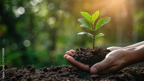 Green Thumb: Hand Planting Young Tree for Earth Day Eco Concept