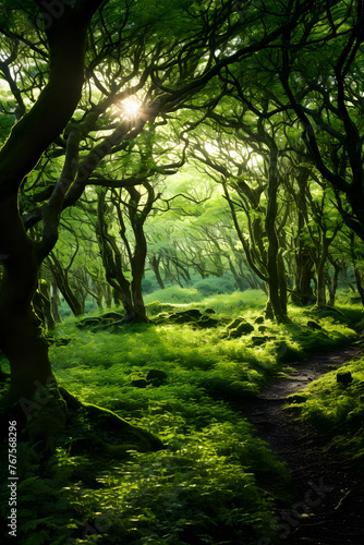 Mystic Green: The Surreal Beauty of a Verdant Bush Landscape Under the Sun