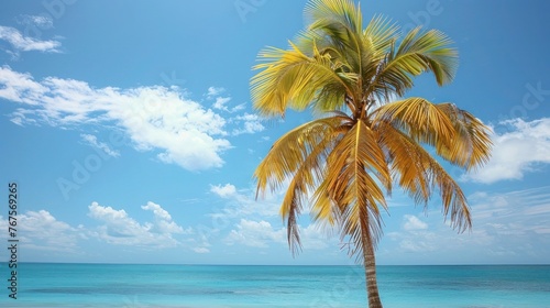 Serene Tropics  Majestic Coconut Palm Tree Amidst Lush Greenery