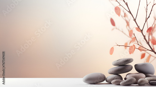 Aesthetic Beauty Display Neutral Setting with Stones and Branch 