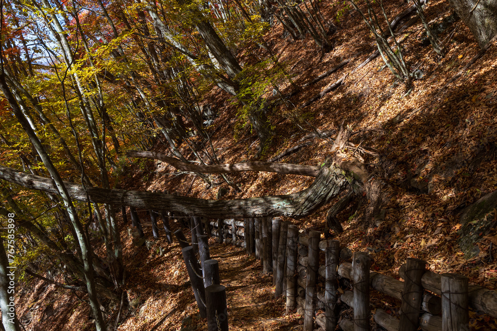 Φωτογραφία 日本の風景　秋の長野　紅葉見頃の横谷渓谷（横谷峡）