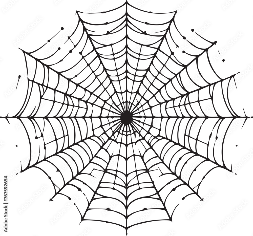 Obraz premium Spider Web Vector