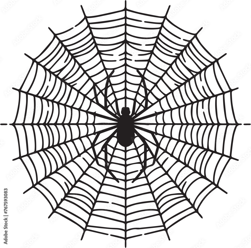 Spider Web Vector