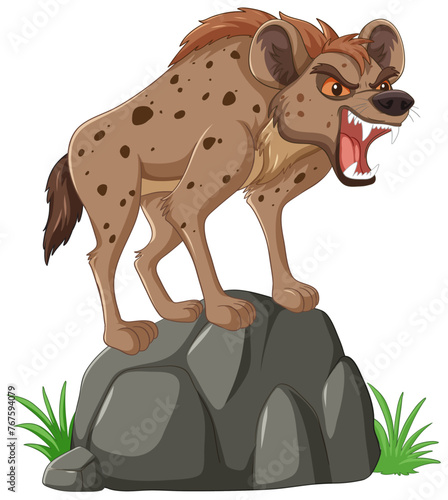 Angry hyena standing on a rock, growling fiercely.