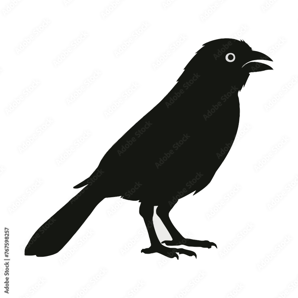 Canary Silhouette Canary Silhouette