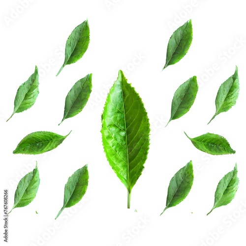Art pattern green tea leaves isolated on transparent background © Pipin