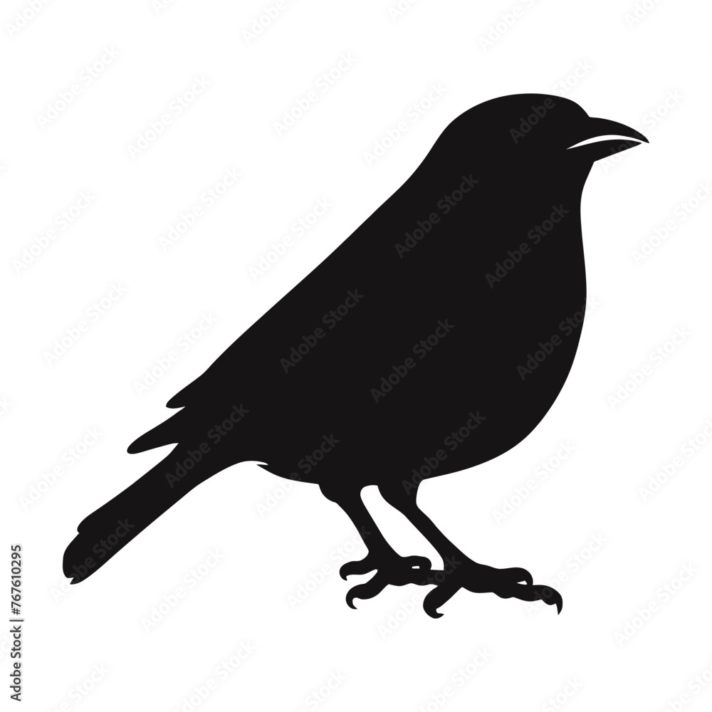 Finch Silhouette Finch Silhouette