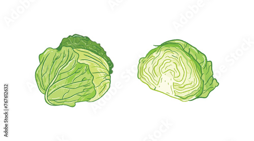 Whole and half raw cabbage