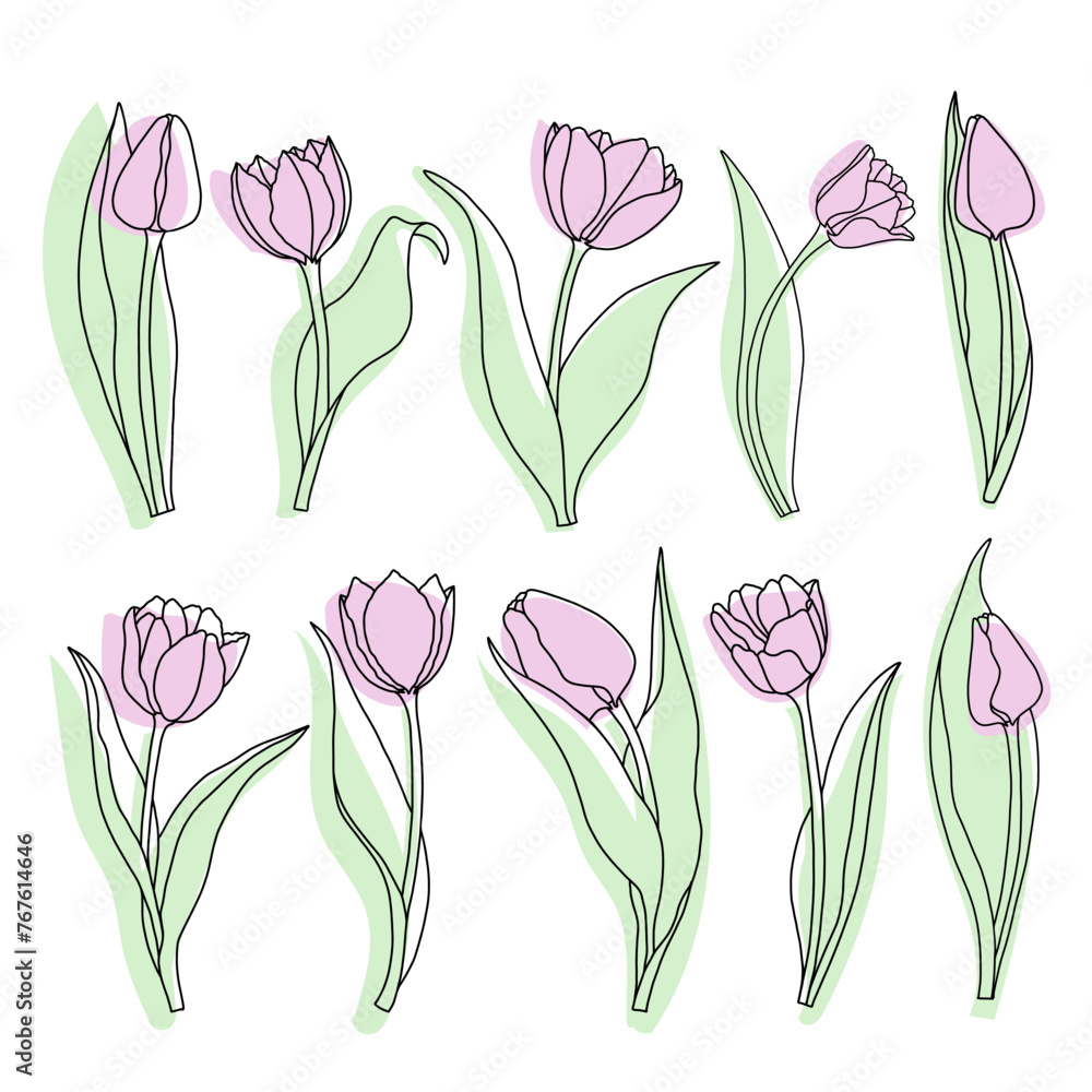 Line art tulip flowers with color shapes. Hand drawn floral vector illustration. Minimalist botanical art Line art tulip flowers with color shapes. Hand drawn floral vector illustration. Minimalist botanical art