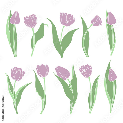 Tulips flat cilored collection. Minimalist art.