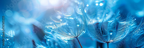 blue dandelion background. Freedom to Wish. Dandelion silhouette fluffy flower on sky. Seed macro closeup. Soft focus. Goodbye Summer. Hope and dreaming concept. Fragility. Springtime. photo