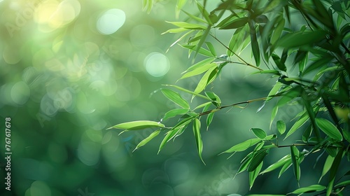 Bamboo Bliss: Fresh Trees in Forest with Blurred Background