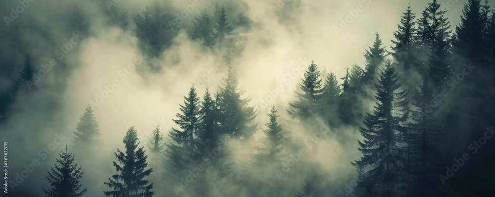 Misty green forest. Foggy landscape - obrazy, fototapety, plakaty 