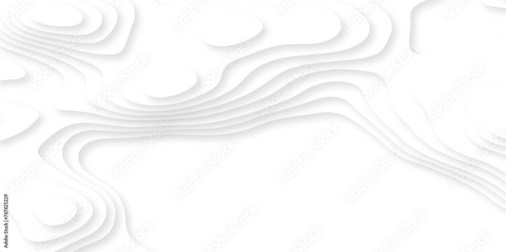 Abstract white paper cut background with lines. Background of the topographic map. White wave paper curved reliefs abstract background. Realistic papercut decoration textured with wavy layers. Abstract white paper cut background with lines. Background of the topographic map. White wave paper curved reliefs abstract background. Realistic papercut decoration textured with wavy layers.