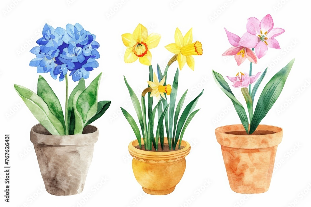 Flowers in pots home plants flat watercolor illustration banner green leaves yellow, blue, pink flowers botanical spring floral design ceramic flowerpots, hydrangea, lily, narcissus, tulip, Flowers in pots home plants flat watercolor illustration banner green leaves yellow, blue, pink flowers botanical spring floral design ceramic flowerpots, hydrangea, lily, narcissus, tulip,