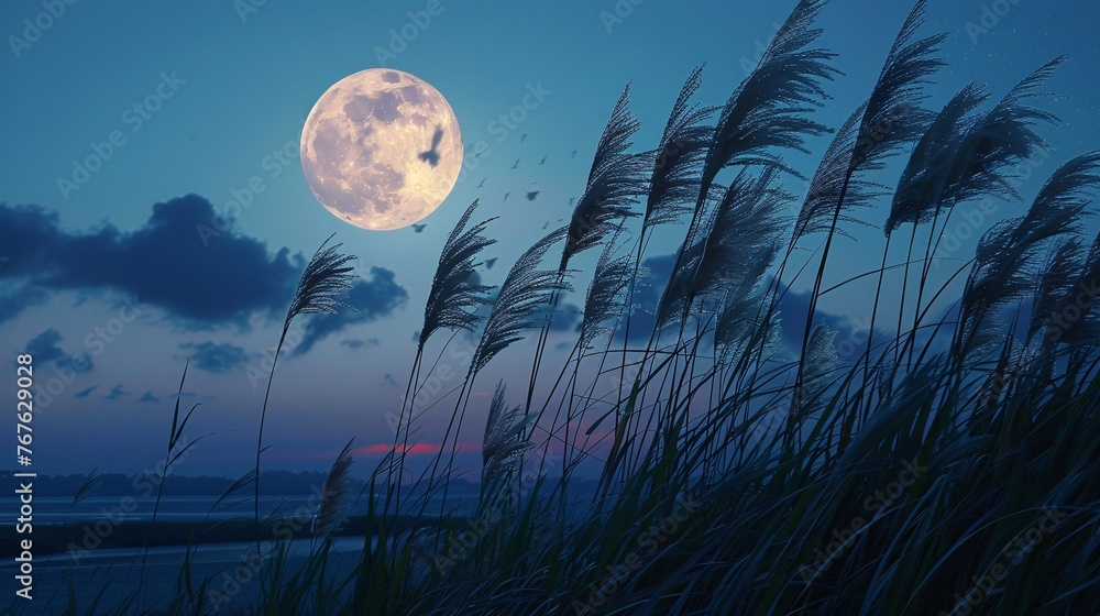 Fototapeta premium moon over the lake