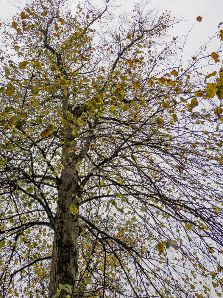 Obraz premium Glasgow, Scotland