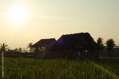 The scene of a hut in the middle of a rice field in Indonesia with warm sunlight, captured with low exposure.