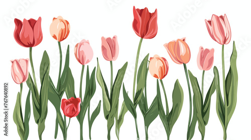 Hand drawn tulips Flat vector isolated on white background #767640892