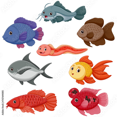 Freshwater Fish Set Cartoon. Vector Illustration of Different Types of Freshwater Fish © bahtiarmaulana