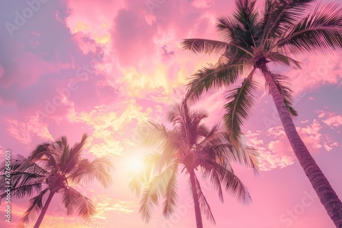 The pink sky and palm trees © Kanachi Graphics